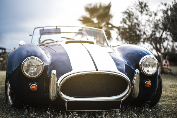 Swiss Cobra Meet (Davos)